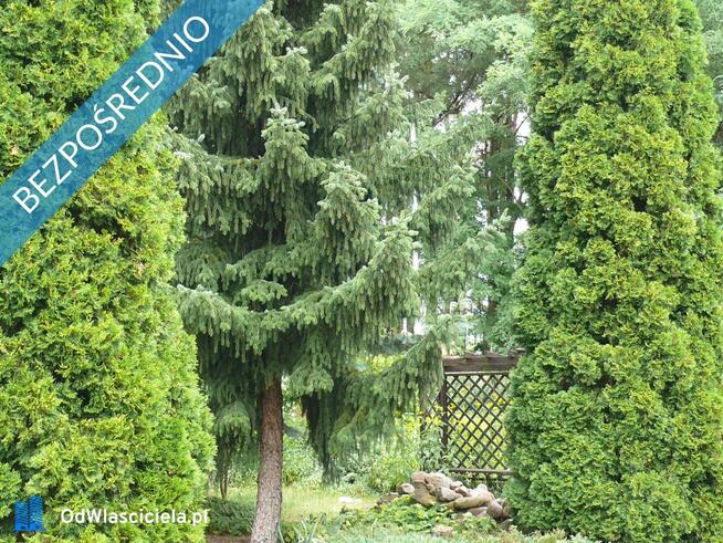 Dom wśród zieleni przy lesie