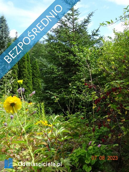 Dom wśród zieleni przy lesie