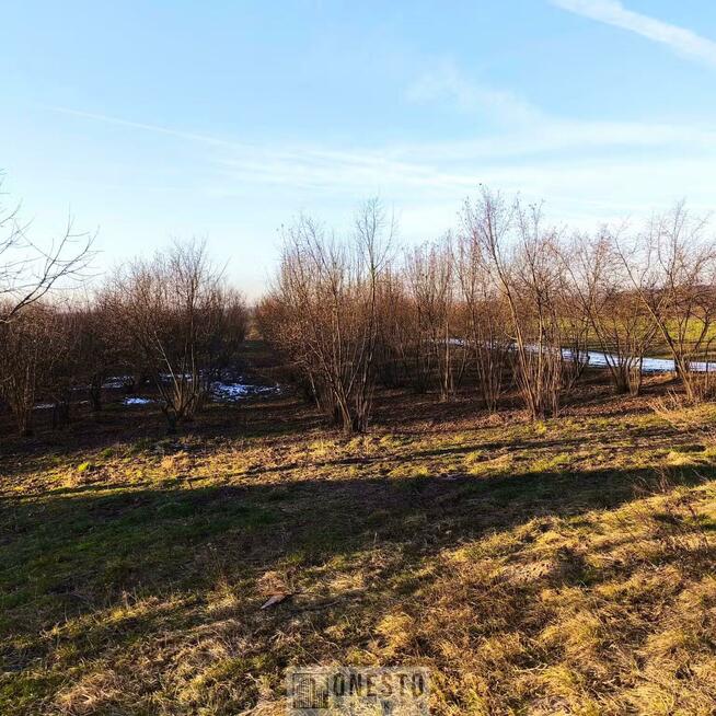 Dom Zezulin Niższy gm. Ludwin