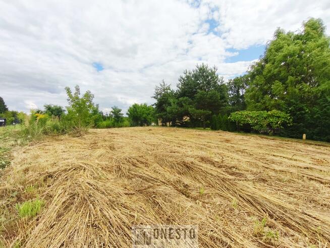 Działka budowlana Dąbrowica gm. Jastków, Szkolna