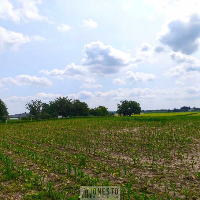 Działka rolno-budowlana Panieńszczyzna gm. Jastków, Skrzydlata