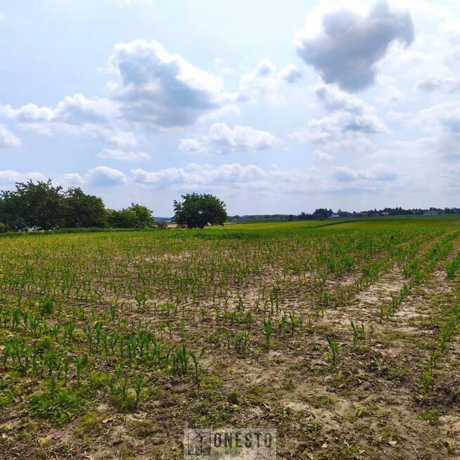 Działka rolno-budowlana Panieńszczyzna gm. Jastków, Skrzydlata