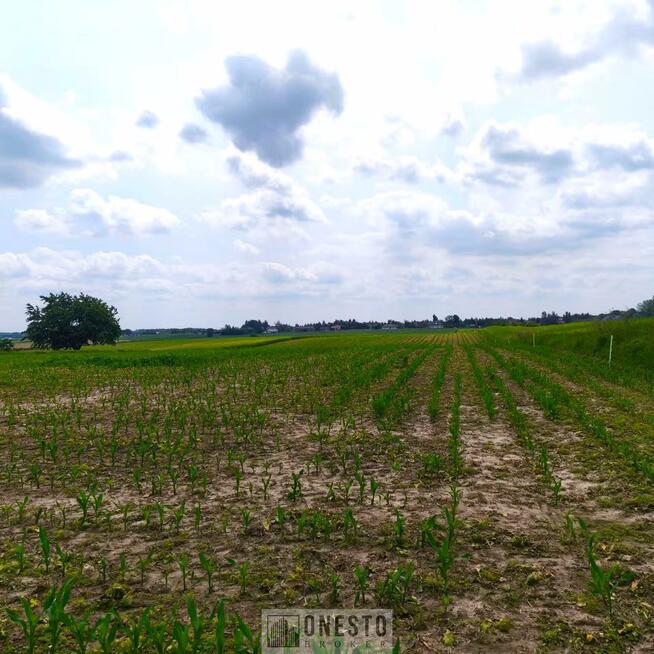 Działka rolno-budowlana Panieńszczyzna gm. Jastków, Skrzydlata