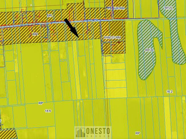 Działka rolno-budowlana Panieńszczyzna gm. Jastków, Skrzydlata