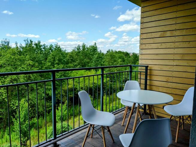 Mieszkanie Łódź gm. Łódź-Polesie Polesie, Pienista