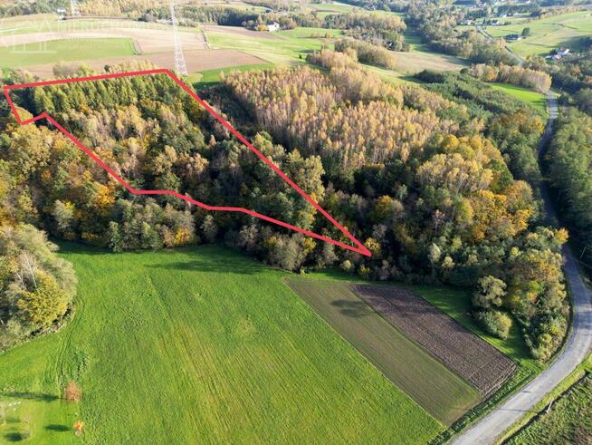 Działka leśna Łęki Górne gm. Pilzno