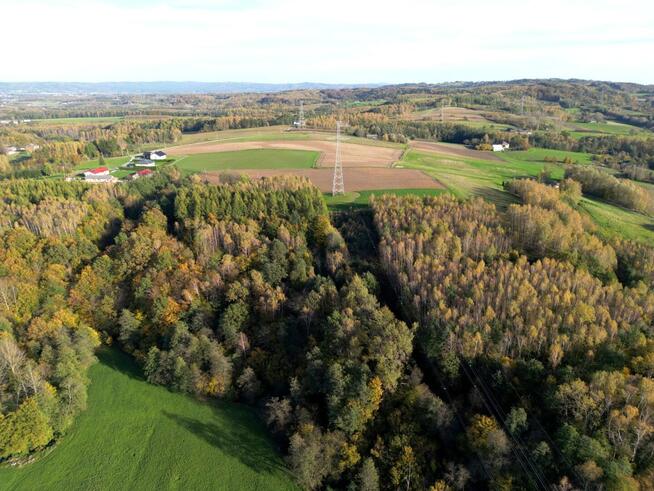 Działka leśna Łęki Górne gm. Pilzno