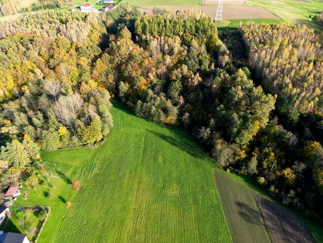 Działka leśna Łęki Górne gm. Pilzno