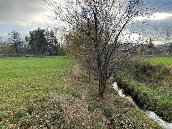 To miejsce na Twój nowy dom