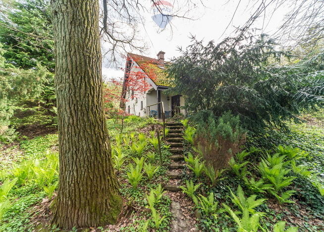 Wyjątkowy dom w malowniczym otoczeniu