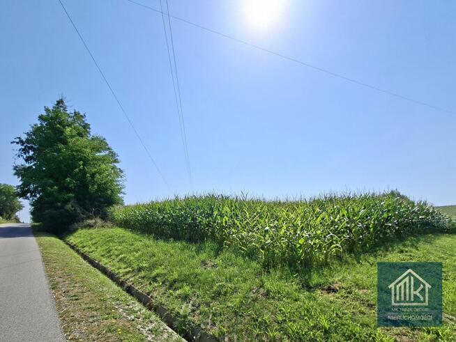 Działka budowlana Bodzanów gm. Biskupice,