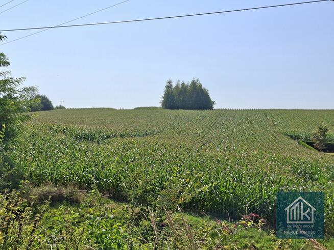 Działka budowlana Bodzanów gm. Biskupice,