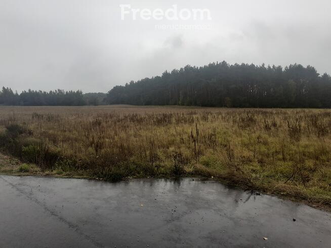 Idealna działka z warunkami zabudowy w Romanowie