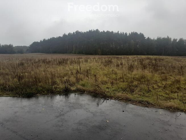 Idealna działka z warunkami zabudowy w Romanowie