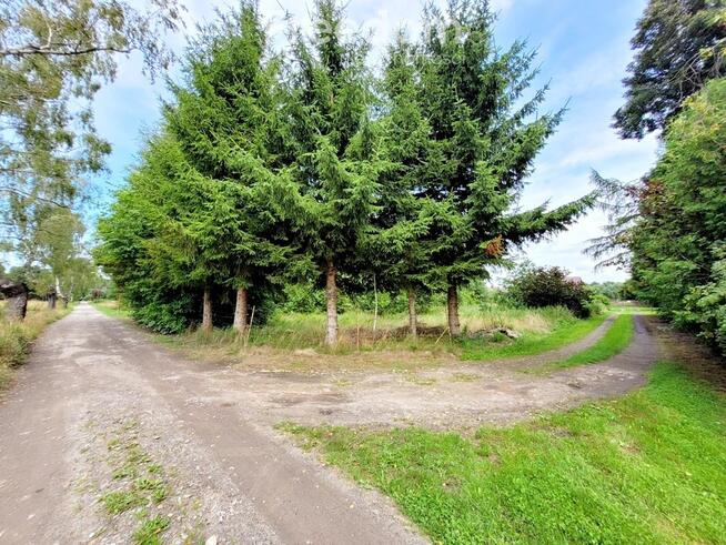 Działka z WZ w otulinie natury – Kodrąbek 1607m2