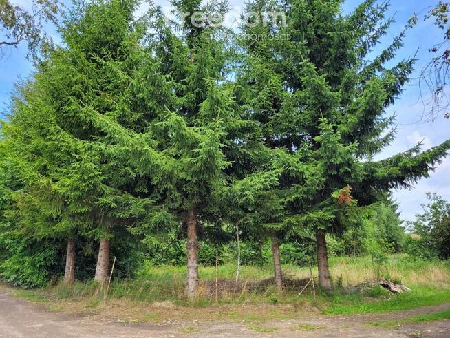 Działka z WZ w otulinie natury – Kodrąbek 1607m2