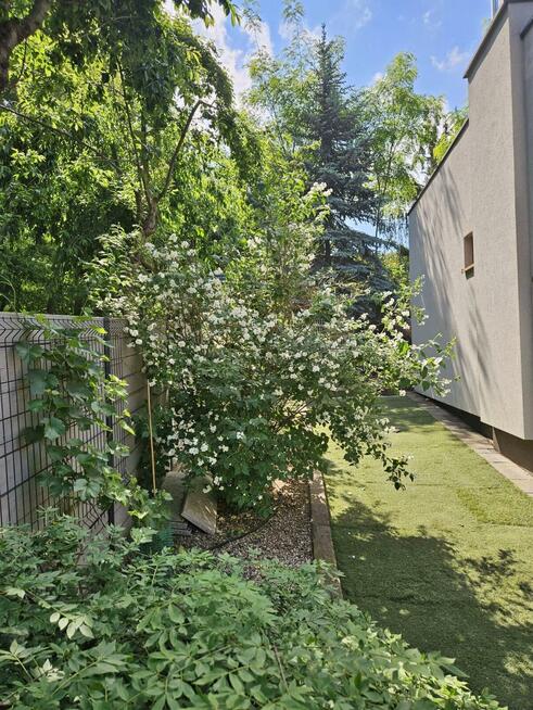 Dom Boszkowo gm. Włoszakowice, Wichrowe Wzgórze