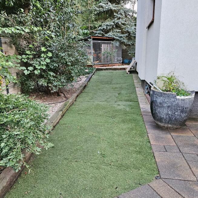 Dom Boszkowo gm. Włoszakowice, Wichrowe Wzgórze