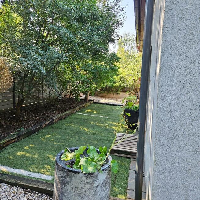 Dom Boszkowo gm. Włoszakowice, Wichrowe Wzgórze