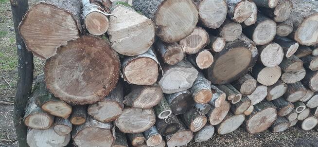 Sprzedam drewno opałowe Twarde mieszane (Brzoza, Dąb, Grab(
