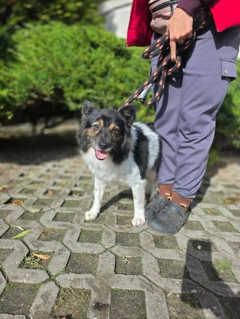 Może tym razem po wizycie w SPA kogoś w sobie rozkocha?