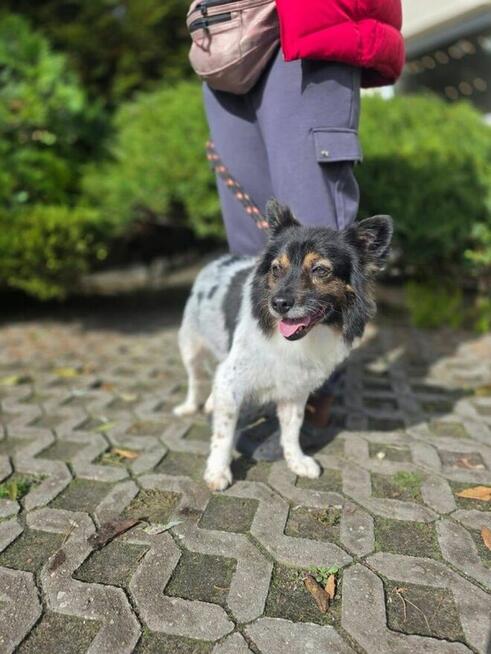 Może tym razem po wizycie w SPA kogoś w sobie rozkocha?