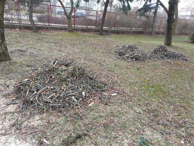 WARSZAWA KOMPLEKSOWA WYCINKA DRZEW I ALPINISTYKA