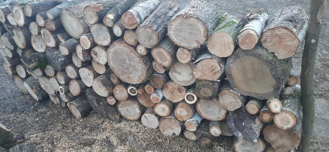 Sprzedam drewno opałowe Twarde mieszane (Brzoza, Dąb, Grab(