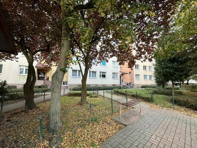 3-pokojowe mieszkanie z balkonem w Lubinie, ul. Drzymały