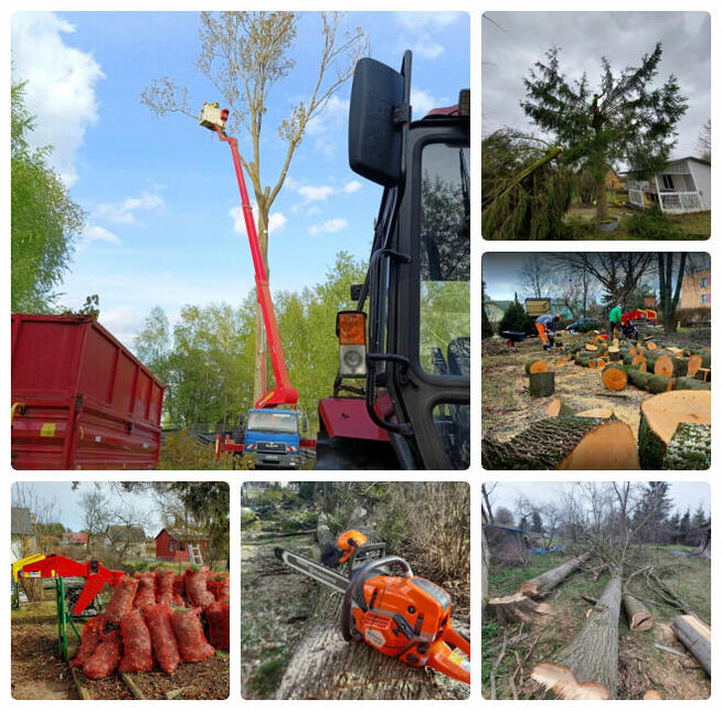 PUŁTUSK KOMPLEKSOWA WYCINKA DRZEW I ALPINISTYKA