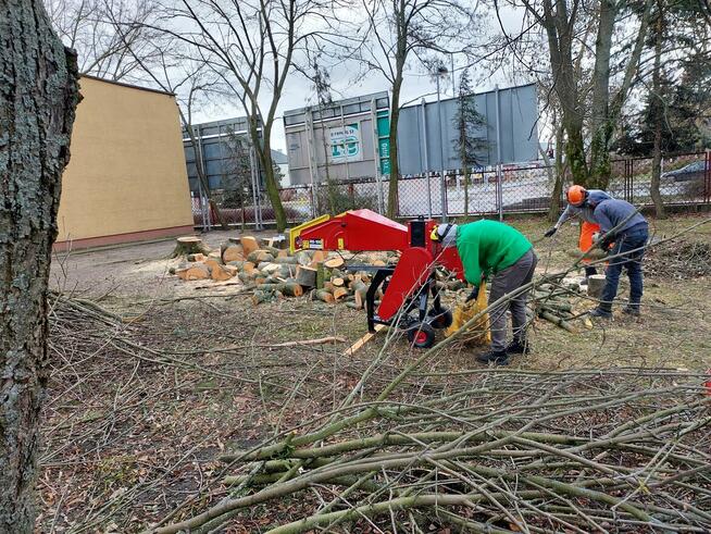 WARSZAWA KOMPLEKSOWA WYCINKA DRZEW I ALPINISTYKA