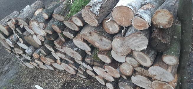 Sprzedam drewno opałowe Twarde mieszane (Brzoza, Dąb, Grab(