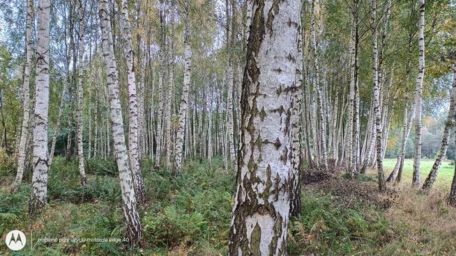 Piękna działka nad Wkrą