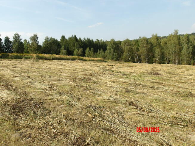 Działka budowlana w przepięknej okolicy widokowa