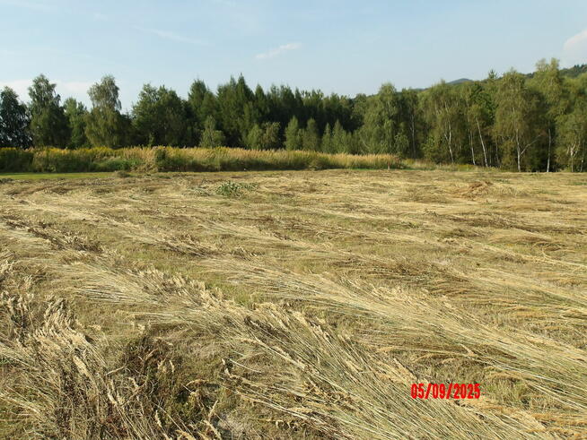 Działka budowlana w przepięknej okolicy widokowa