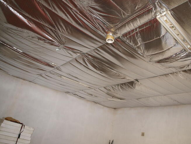 Magazyn hala 180m w Kaliszu (Korczak)