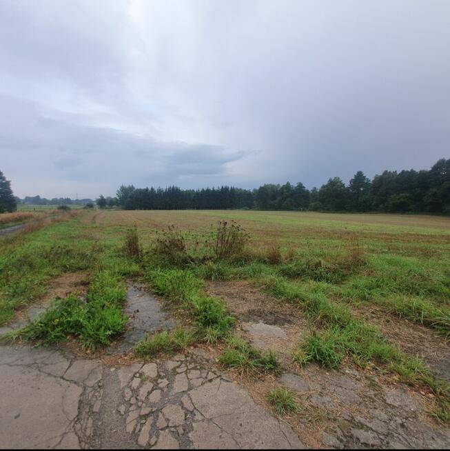 Malownicza działka nad rzeką przy starym młynie z lasem 4.8h
