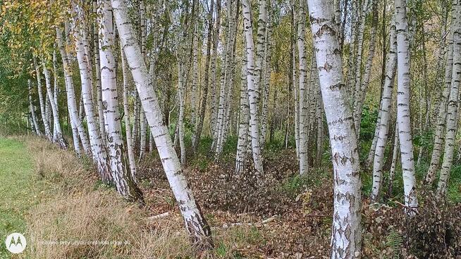 Piękna działka nad Wkrą