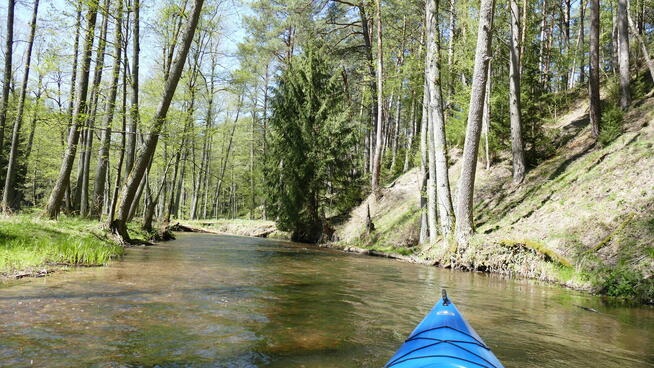 Kajaki Mazurskie - Spływy kajakowe Marózka Łyna Omulew