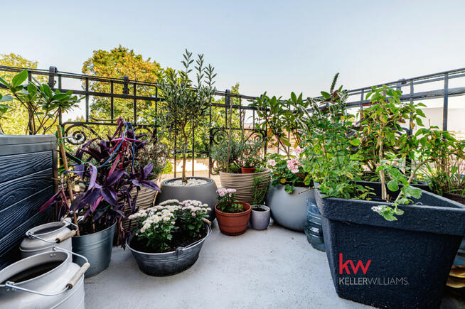 Mieszkanie Poznań gm. Poznań-Nowe Miasto Główna, Główna