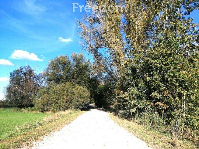 Działka w pobliżu Jeziora Dziekanowskiego