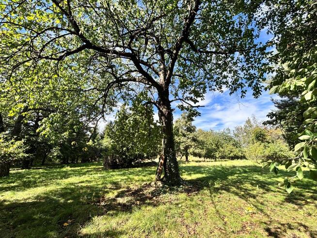 Dom Winna Góra gm. Jordanów Śląski,