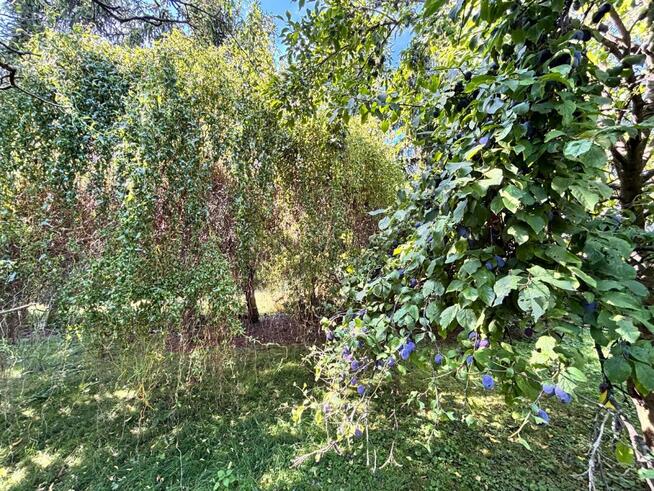 Dom Winna Góra gm. Jordanów Śląski,