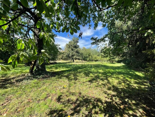 Dom Winna Góra gm. Jordanów Śląski,