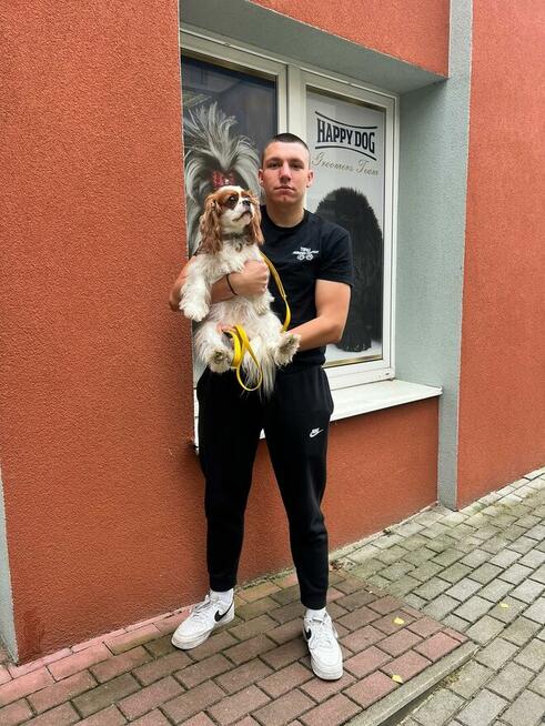 TAXI DLA ZWIERZĄT Tel 733 791 005