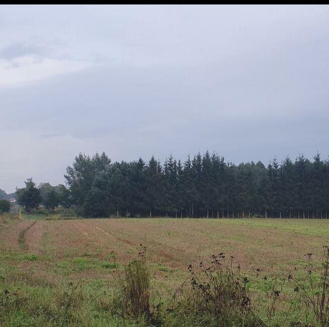 Malownicza działka nad rzeką przy starym młynie z lasem 4.8h