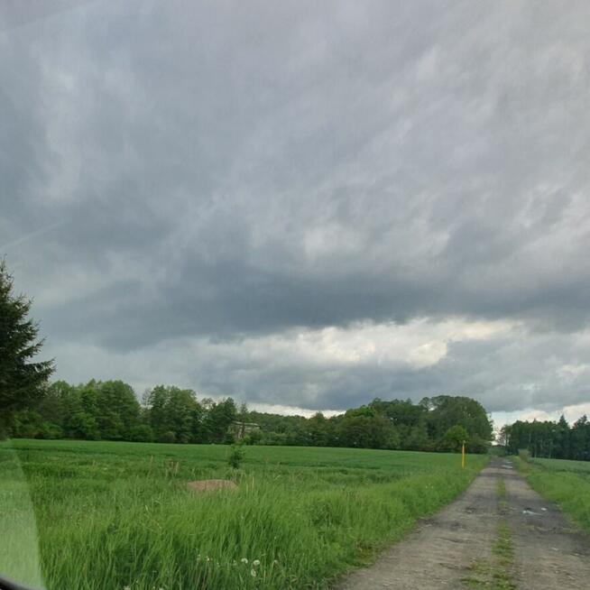 Malownicza działka nad rzeką przy starym młynie z lasem 4.8h