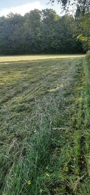 Działki budowlane JANCZOWICE / JAŹWINA / DZIERŻONIÓW widok