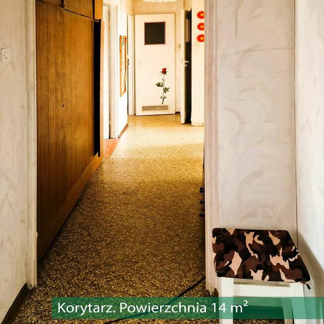 M4 Wysokie Mazowieckie Jasne Okazja