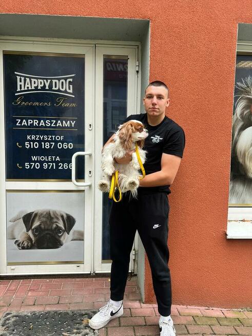 TAXI DLA ZWIERZĄT Tel 733 791 005